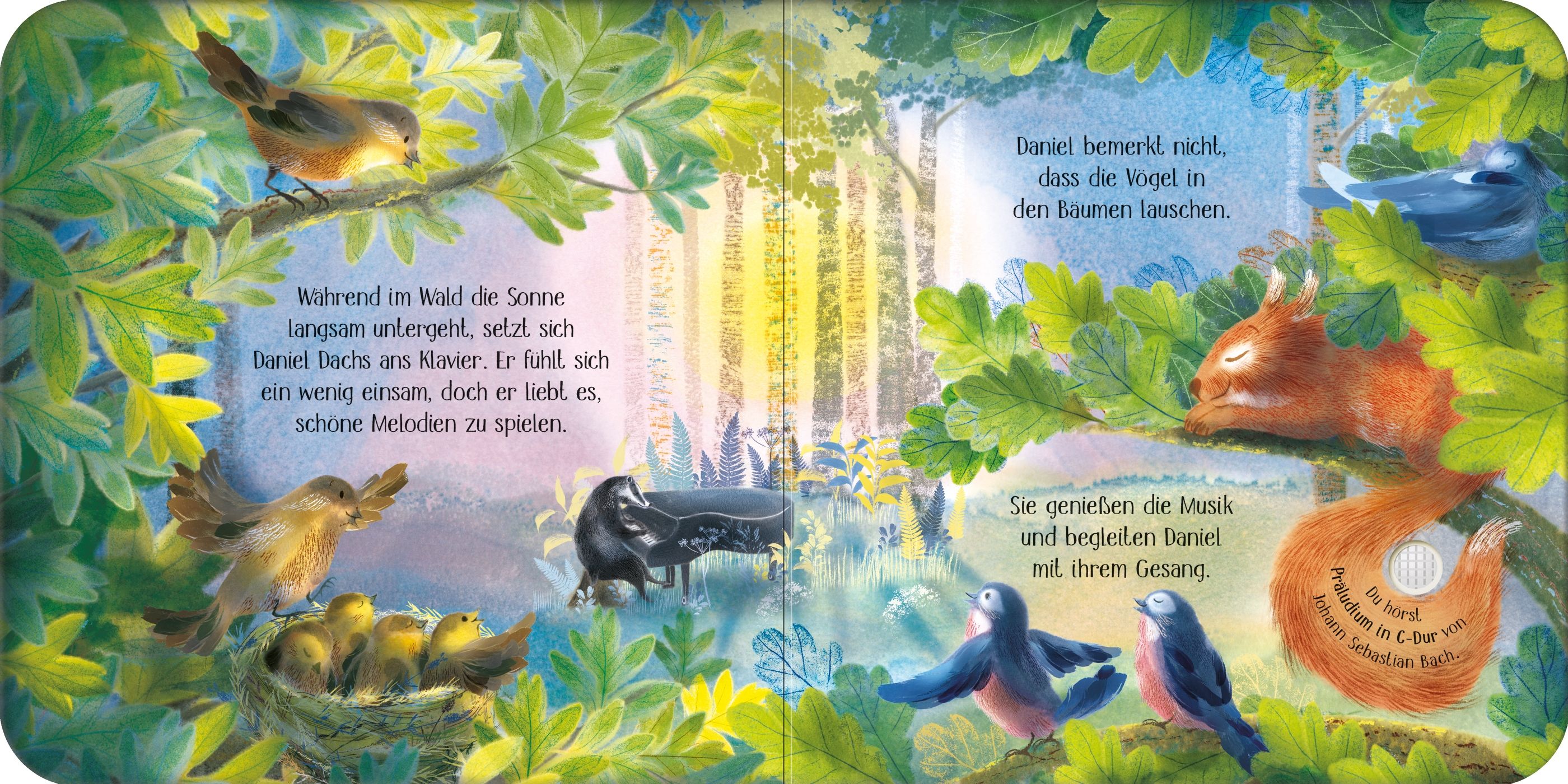 Usborne Hör gut zu, leg dich zur Ruh! Einschlafen mit den Waldtieren