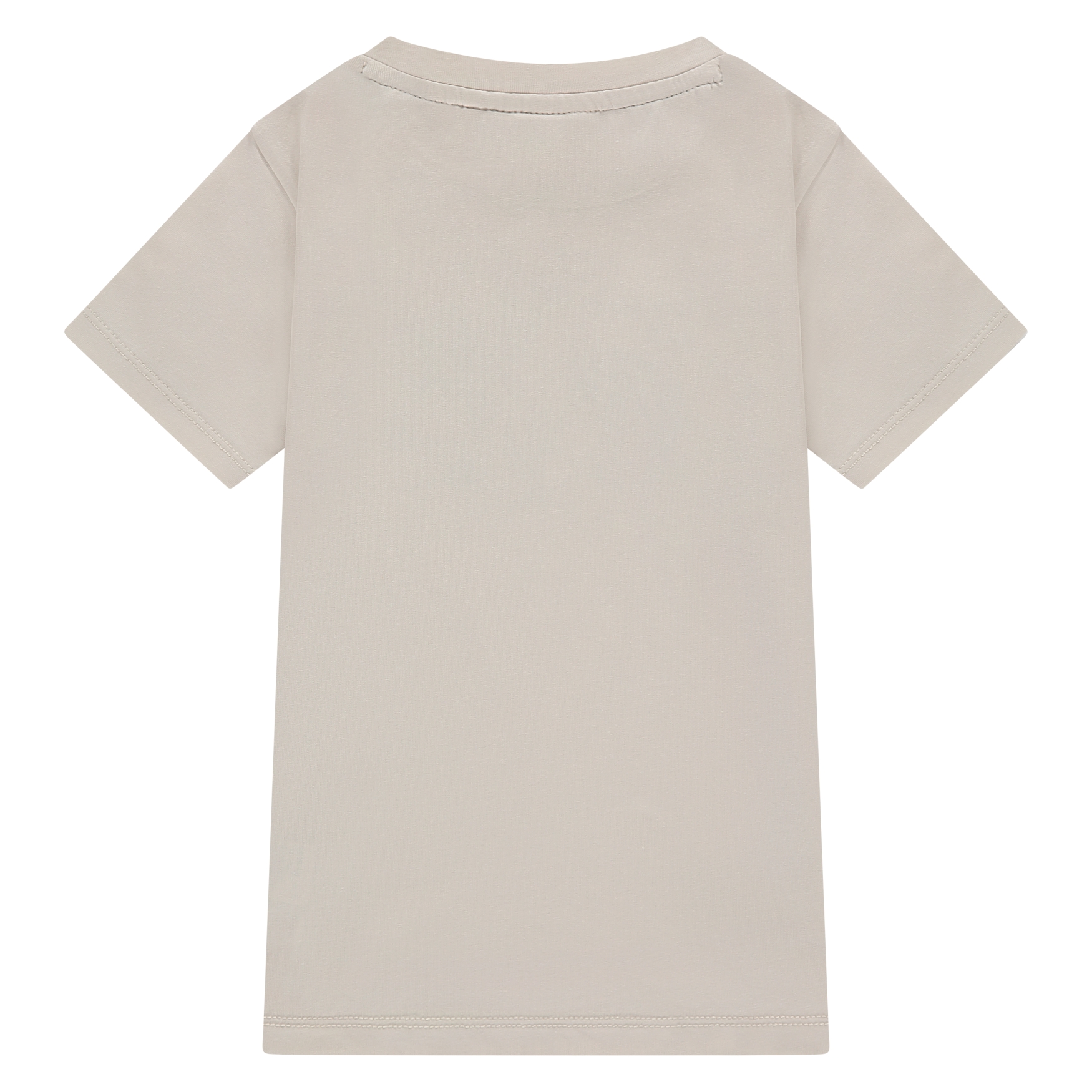Babyface Stains & Stories Kurzarm T-Shirt in Creme Kaktus Desert - SALE