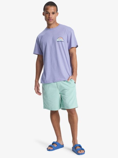 Quiksilver Taxer Cord - Kordshorts für Männer in Blue Haze Quiksilver Taxer Cord - Kordshorts für Männer in Blue Haze