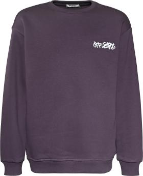 Blue Effect Jungs Sweatshirt in Dunkelpflaume mit Backprint Blue Effect Jungs Sweatshirt in Dunkelpflaume mit Backprint