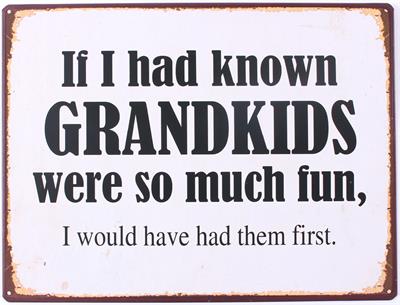 Lafinesse Metal Schild - Grandkids So Much Fun
