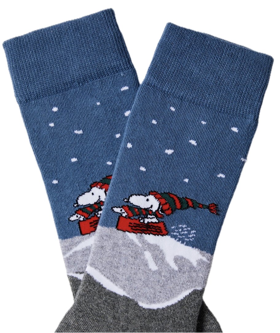 besocks Peanuts aus Bio-Baumwolle in Blau - Snoopy Skifahren