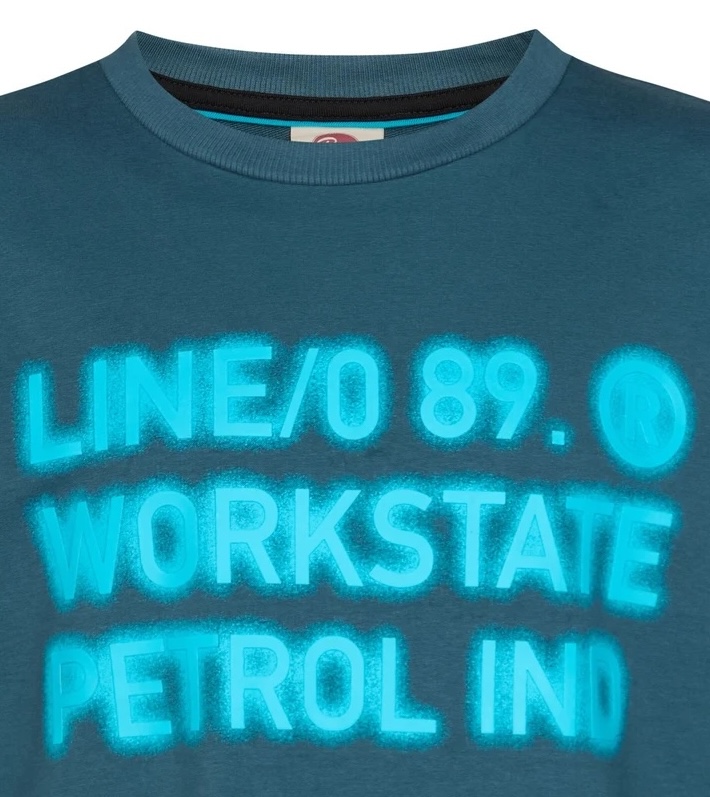 Petrol Industries Jungs Graphic Print Pullover Millbrook in Blau