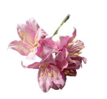 Wowzers Blüten aus Maulbeerpapier - Orchid Lilien - 15 Blumen Wowzers Blüten aus Maulbeerpapier - Orchid Lilien - 15 Blumen