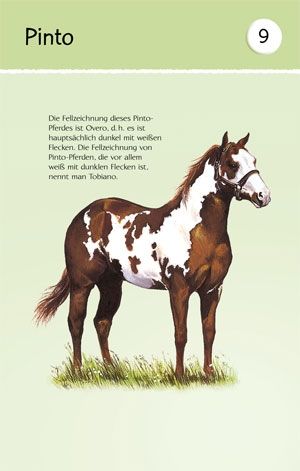 Usborne 50 Karten - Erkennen und Benennen - Pferde und Ponys