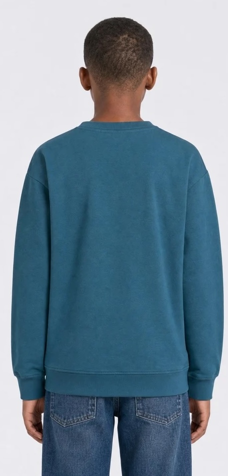 Petrol Industries Jungs Graphic Print Pullover Millbrook in Blau