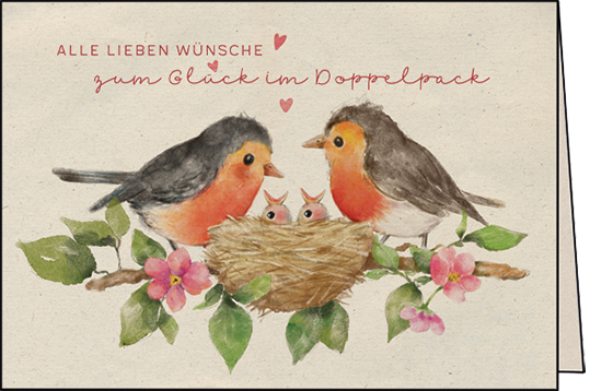 Edition Gollong Karte zur Geburt - Glück im Doppelpack - Zwillinge Vogelchen 