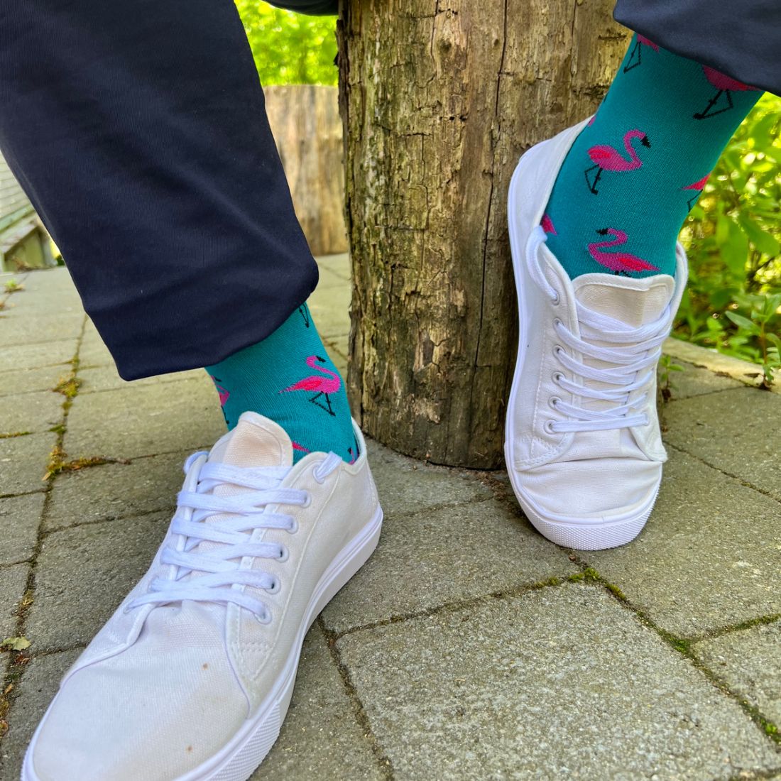 Swole Panda Bambus Herren Socken in Türkis & Pink - Flamingos