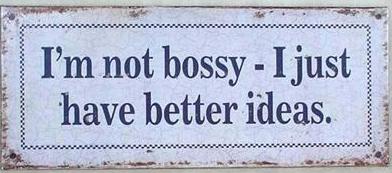 Lafinesse Metal Schild - Sign - I'm not bossy I just have better ideas