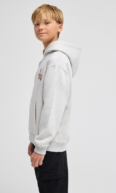 Billabong Foundation Hoody Sweatshirt in Grau - Screw it - Let's Surf
