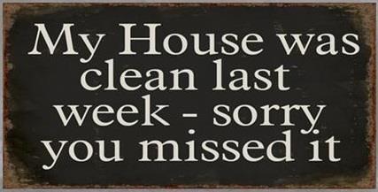 em2366-p Lafinesse Magnet mit Spruch - My House was clean last week...