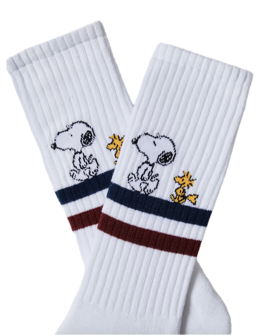 besocks Peanuts aus Bio-Baumwolle in Weiß - Stripes Street