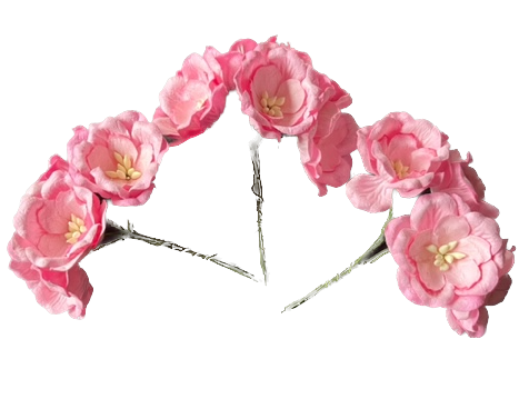Wowzers Blüten aus Maulbeerpapier - Magnolien Rosa - 15 Blumen Wowzers Blüten aus Maulbeerpapier - Magnolien Rosa - 15 Blumen
