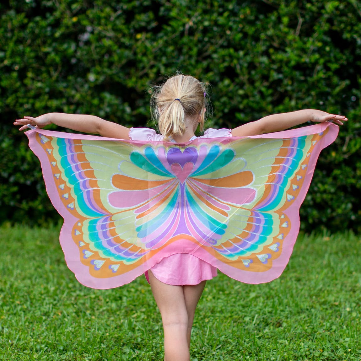1013057-47cde72b61d18d Dreamy Dress-Ups PINK RAINBOW BUTTERFLY - Flügel & Maske