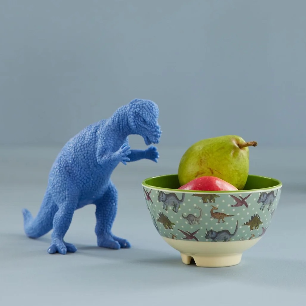 RICE Kleine Melamin Schüssel - Graublau - New Dino Print