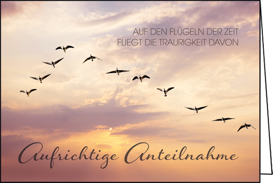 Edition Gollong Trauerkarte - Aufrichtige Anteilnahme - Auf den Flügeln der Zeit fliegt die Traurigkeit davon