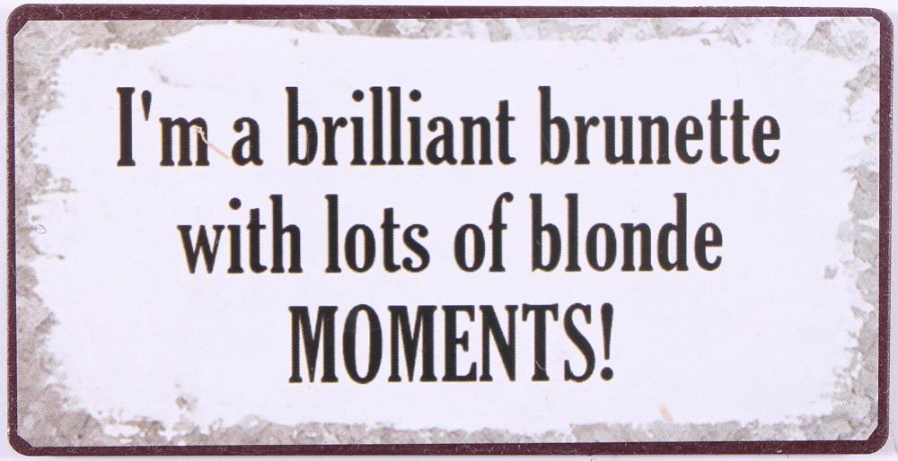 em6598-p Lafinesse Magnet mit Botschaft - brilliant brunette lots of blonde moments