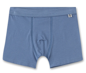 336390_1967_z-Kopie Sanetta Jungs Boxershorts 2er Set - Dino + Unifarben blau