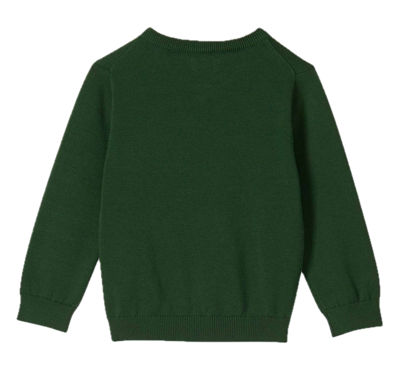 Hatley Baby Jungen Pullover mit Rentier in Waldgrün – V-Ausschnitt aus 100 % Baumwolle